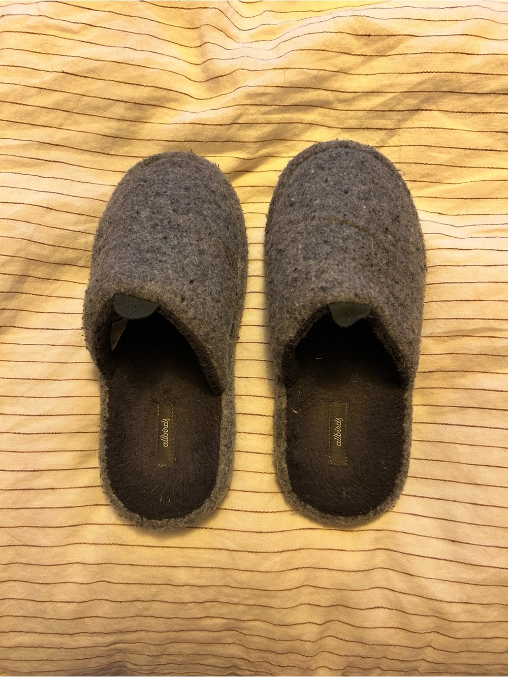 allbirds Gray Wool Felt Slip-On Slippers